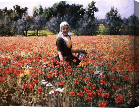 George Hitchcock The Poppy Field Stretched Canvas Painting / Canvas Art