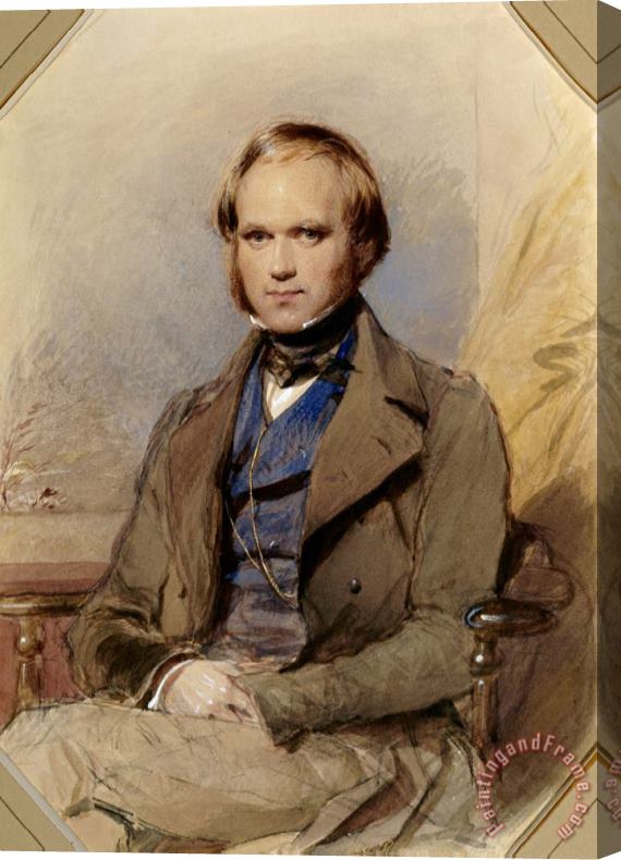 George Richmond Charles Darwin Stretched Canvas Print / Canvas Art