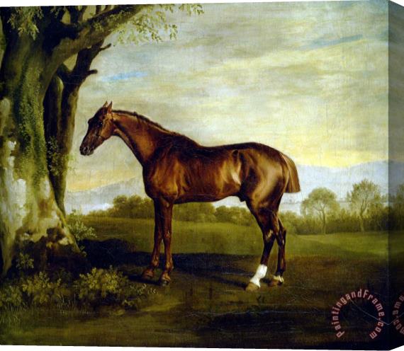 George Stubbs A Chestnut Racehorse Stretched Canvas Painting / Canvas Art