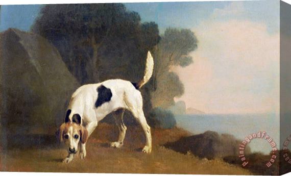 George Stubbs Foxhound on the Scent Stretched Canvas Print / Canvas Art