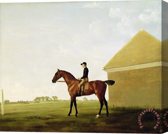 George Stubbs Turf Stretched Canvas Painting / Canvas Art