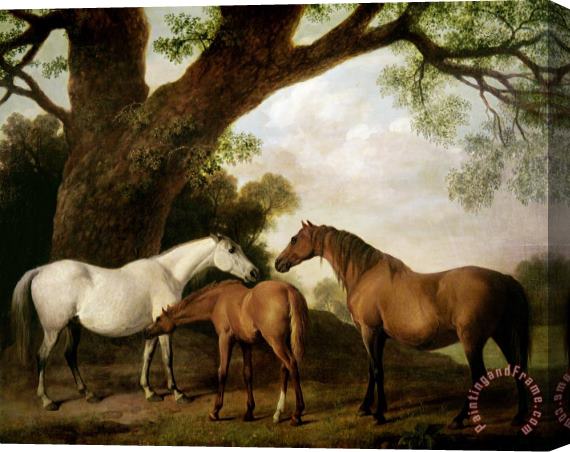 George Stubbs Two Mares and a Foal Stretched Canvas Painting / Canvas Art