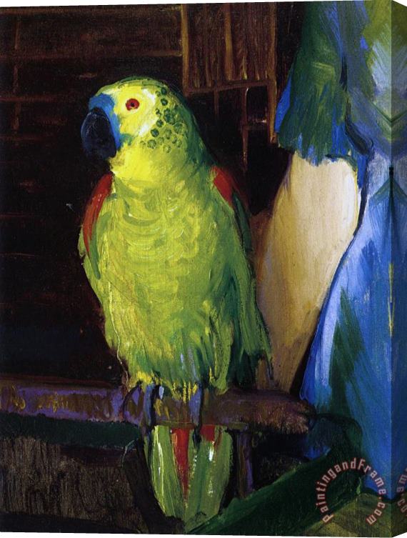 George Wesley Bellows Parrot Stretched Canvas Painting / Canvas Art
