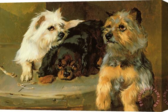 George Wiliam Horlor Give a Poor Dog a Bone Stretched Canvas Print / Canvas Art