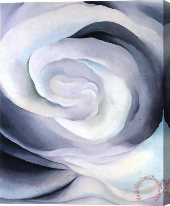 Georgia O'keeffe Abstraction White Rose Stretched Canvas Print / Canvas Art