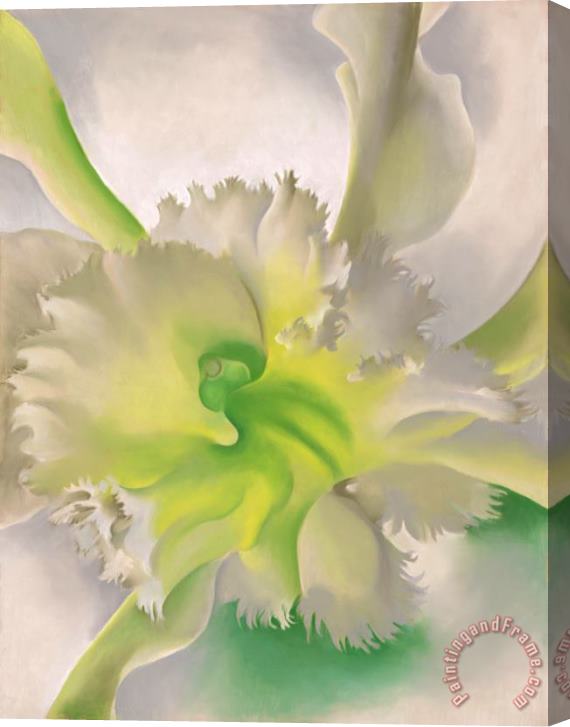 Georgia O'keeffe An Orchid Stretched Canvas Painting / Canvas Art
