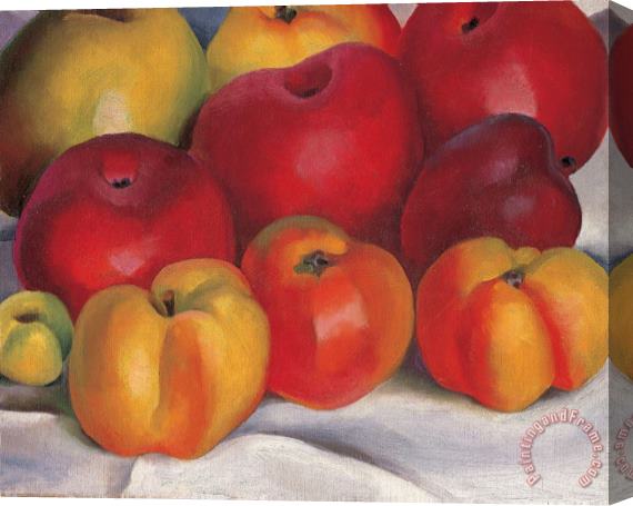 Georgia O'keeffe Apple Family Stretched Canvas Painting / Canvas Art