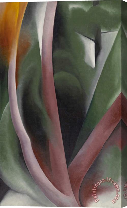 Georgia O'keeffe Birch And Pine Trees Pink, 1925 Stretched Canvas Print / Canvas Art