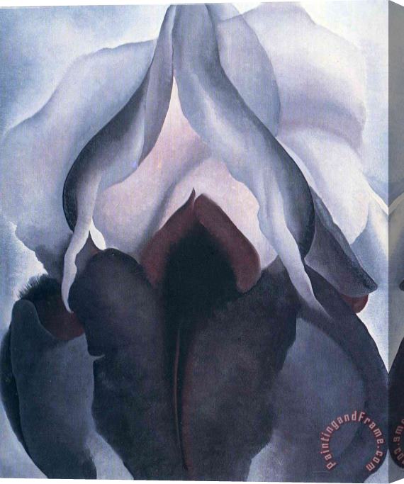 Georgia O'keeffe Black Iris 1 Stretched Canvas Print / Canvas Art