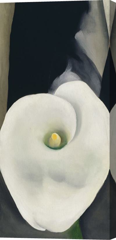 Georgia O'keeffe Calla Lily for Alfred, 1927 Stretched Canvas Print / Canvas Art