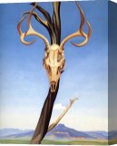 Buy Stretched Canvas Print