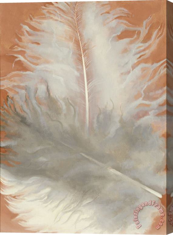 Georgia O'keeffe Feathers, White And Grey, 1942 Stretched Canvas Print / Canvas Art