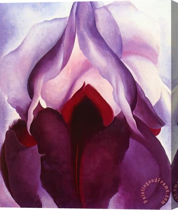 Georgia O'keeffe Flower of Life II Stretched Canvas Print / Canvas Art