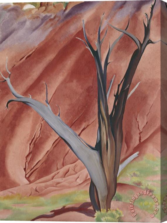 Georgia O'keeffe Gerald's Tree I, 1937 Stretched Canvas Painting / Canvas Art