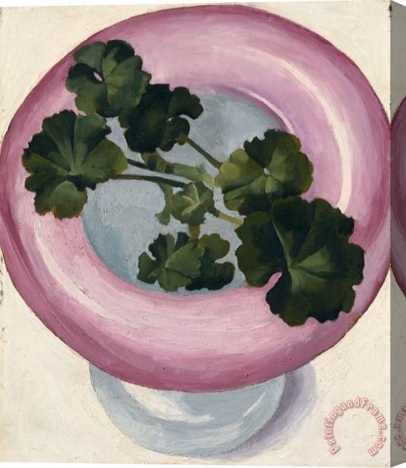 Georgia O'keeffe Geranium Leaves in Pink Dish, 1938 Stretched Canvas Print / Canvas Art