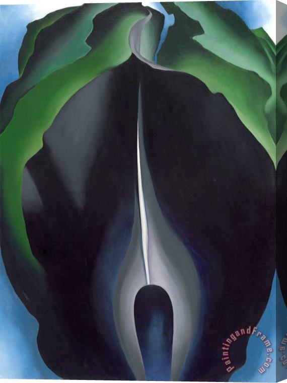 Georgia O'keeffe Jack in The Pulpit No Iv Stretched Canvas Print / Canvas Art