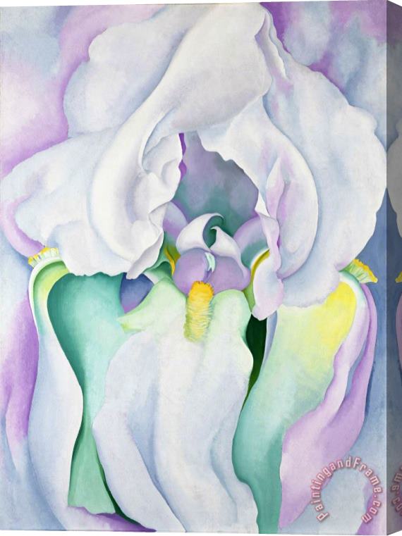 Georgia O'keeffe Light of Iris Stretched Canvas Painting / Canvas Art