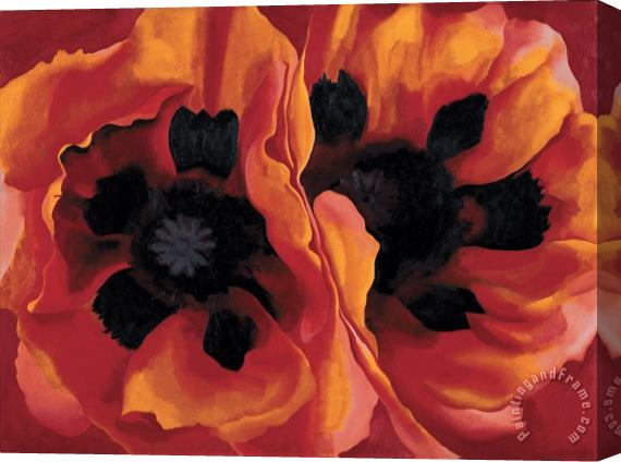 Georgia O'keeffe Oriental Poppies Stretched Canvas Painting / Canvas Art