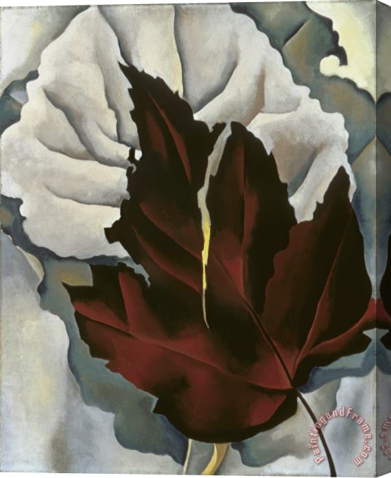 Georgia O'Keeffe Pattern of Leaves Stretched Canvas Painting / Canvas Art