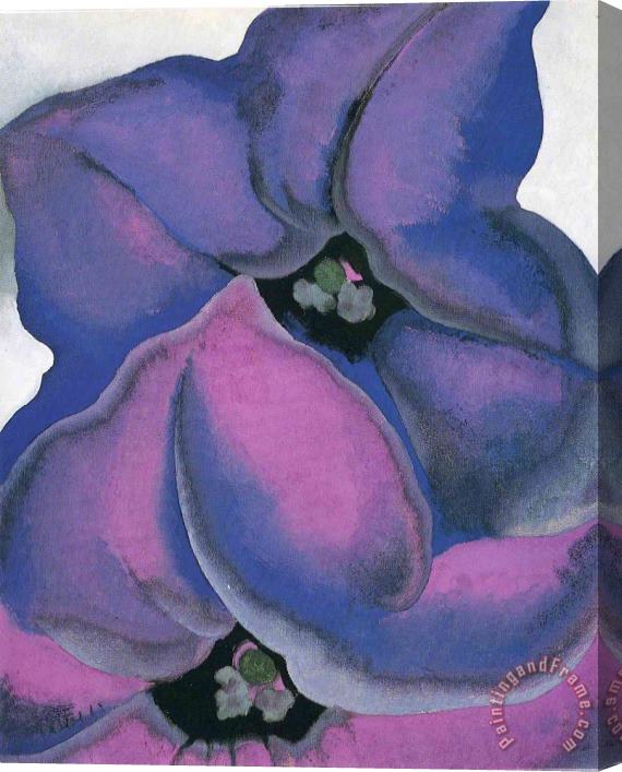 Georgia O'keeffe Purple Petunias Stretched Canvas Painting / Canvas Art