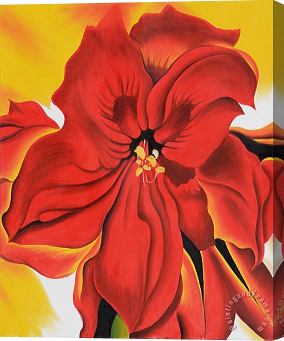 Georgia O'keeffe Red Amaryllis 2 Stretched Canvas Painting / Canvas Art