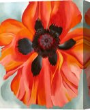 Buy Stretched Canvas Print