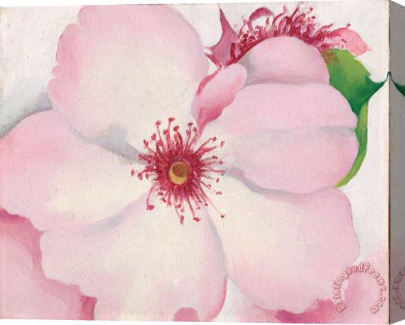 Georgia O'keeffe Rose, 1957 Stretched Canvas Painting / Canvas Art