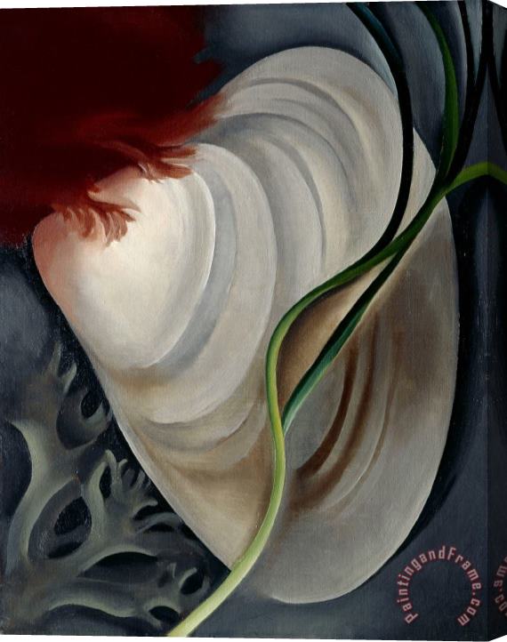 Georgia O'keeffe Shell No 2 Stretched Canvas Painting / Canvas Art