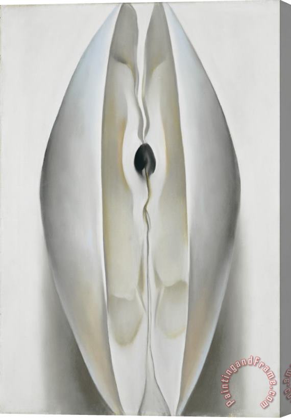 Georgia O'Keeffe Slightly Open Clam Shell Stretched Canvas Painting / Canvas Art