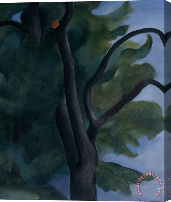 Georgia O'keeffe Tree with Cut Limb, 1920 Stretched Canvas Painting / Canvas Art