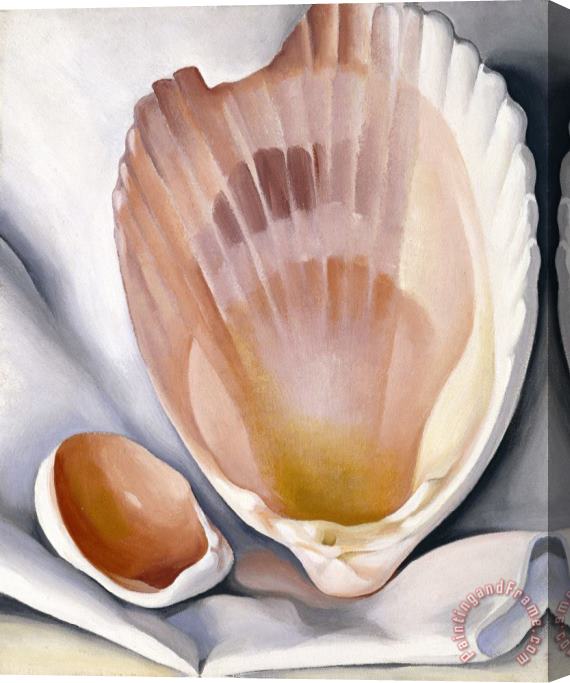 Georgia O'keeffe Two Pink Shellspink Shell, 1937 Stretched Canvas Print / Canvas Art
