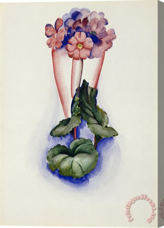 Georgia O'keeffe Untitled (flowers in Vase), Pre 1936 Stretched Canvas Painting / Canvas Art