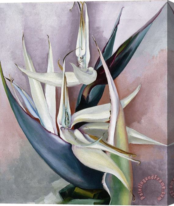 Georgia O'keeffe White Bird of Paradise, 1939 Stretched Canvas Print / Canvas Art