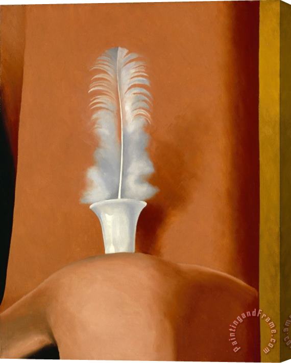 Georgia O'keeffe White Feather, 1941 Stretched Canvas Print / Canvas Art