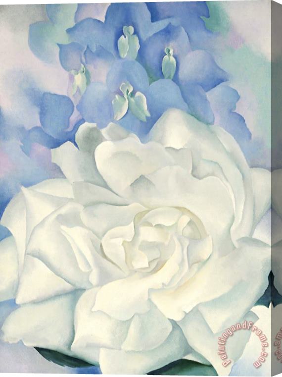 Georgia O'keeffe White Rose with Larkspur No. 2, 1927 Stretched Canvas Print / Canvas Art