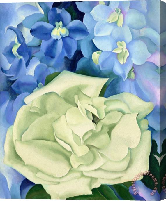 Georgia O'keeffe White Rose with Larkspur No. I, 1927 Stretched Canvas Print / Canvas Art