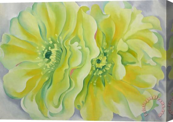 Georgia O'Keeffe Yellow Cactus Stretched Canvas Print / Canvas Art