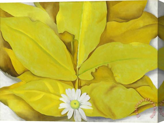 Georgia O'keeffe Yellow Hickory Leaves with Daisy, 1928 Stretched Canvas Print / Canvas Art