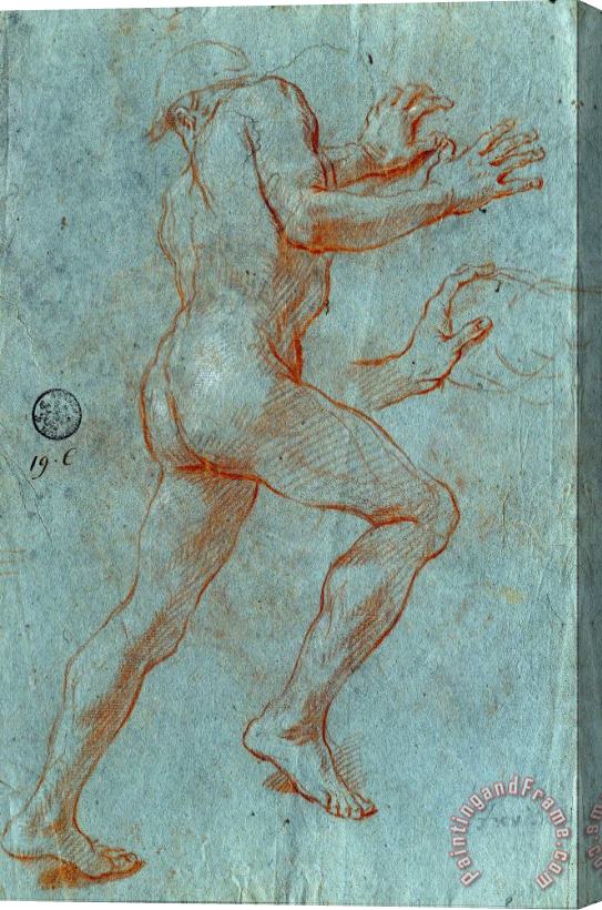 Giovanni Antonio Grecolini Study of a Male Nude Stretched Canvas Print / Canvas Art