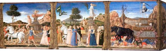 Girolamo da Cremona The Triumphs of Petrarch Stretched Canvas Print / Canvas Art