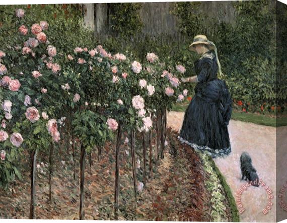 Gustave Caillebotte Roses In The Garden At Petit Gennevilliers Stretched Canvas Print / Canvas Art