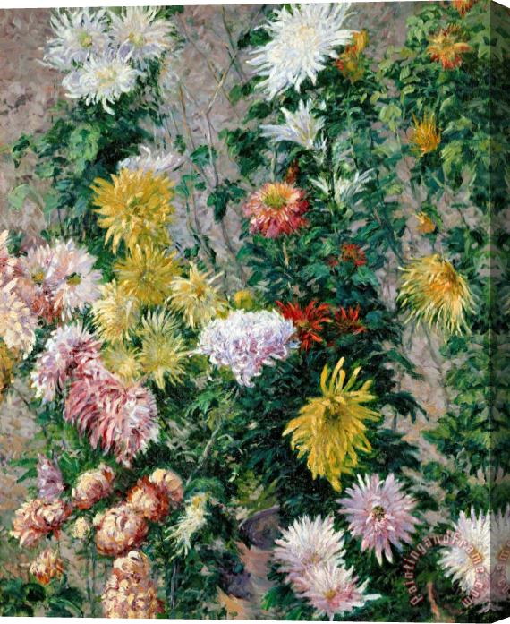 Gustave Caillebotte White and Yellow Chrysanthemums Stretched Canvas Print / Canvas Art