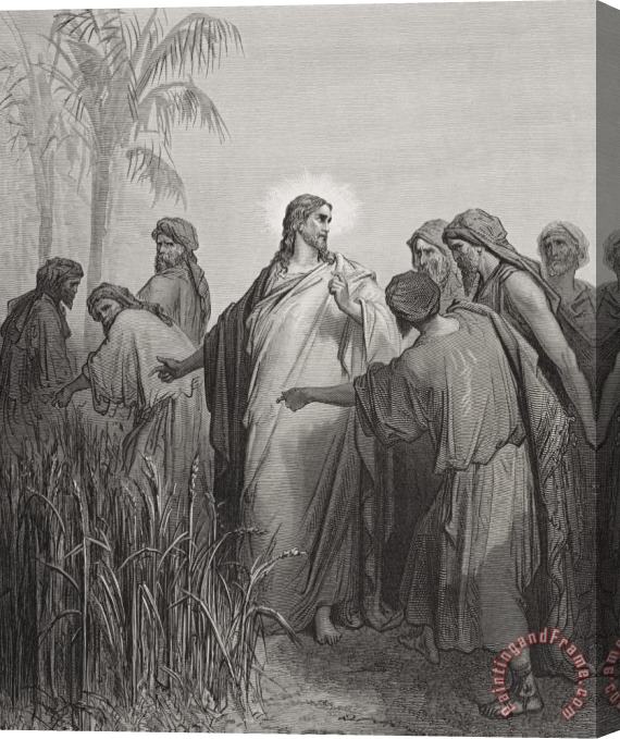 Gustave Dore Jesus And His Disciples In The Corn Field Stretched Canvas Painting / Canvas Art