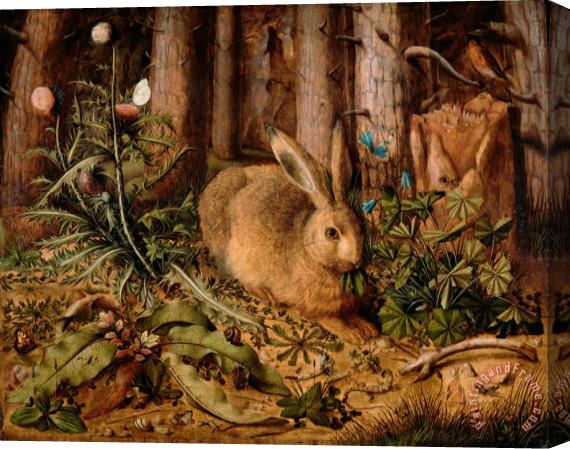 Hans Hoffmann A Hare in The Forest Stretched Canvas Print / Canvas Art