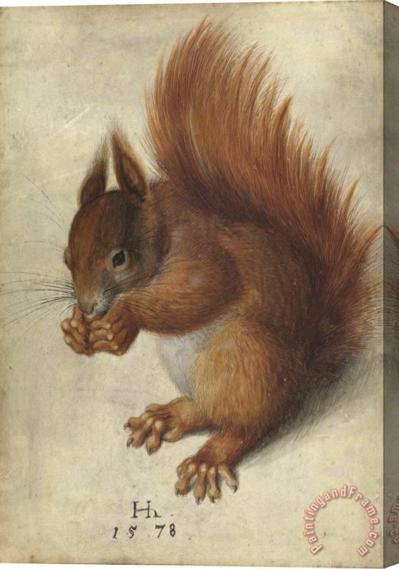 Hans Hoffmann Red Squirrel Stretched Canvas Painting / Canvas Art