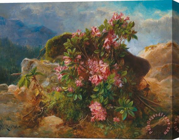 Hans Zatzka Alpine Flowers Stretched Canvas Painting / Canvas Art