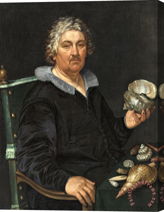 Hendrick Goltzius Portrait of The Haarlem Shell Collector Jan Govertsen Van Der Aer Stretched Canvas Print / Canvas Art