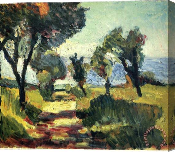 Henri Matisse Olive Trees 1898 Stretched Canvas Painting / Canvas Art