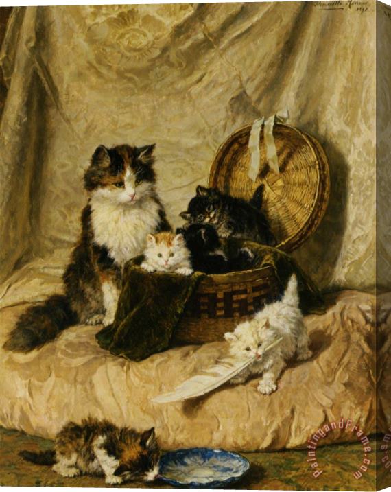 Henriette Ronner-Knip Kittens at Play Stretched Canvas Print / Canvas Art