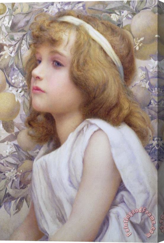 Henry Ryland Girl With Apple Blossom Stretched Canvas Print / Canvas Art